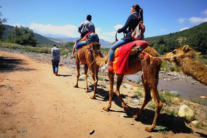 Day trip to Atlas mountains waterfall & Agafay camel Ride experience - Key points at a glance