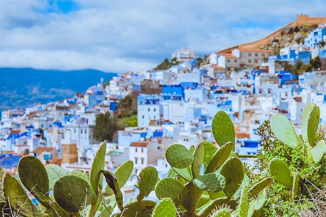 Day Trip to Chefchaouen and Tetouan - What makes Tetouan different