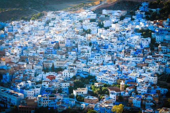 Day Trip to Chefchaouen From Fez with Local Expert - Who should book this Chefchaouen day trip?