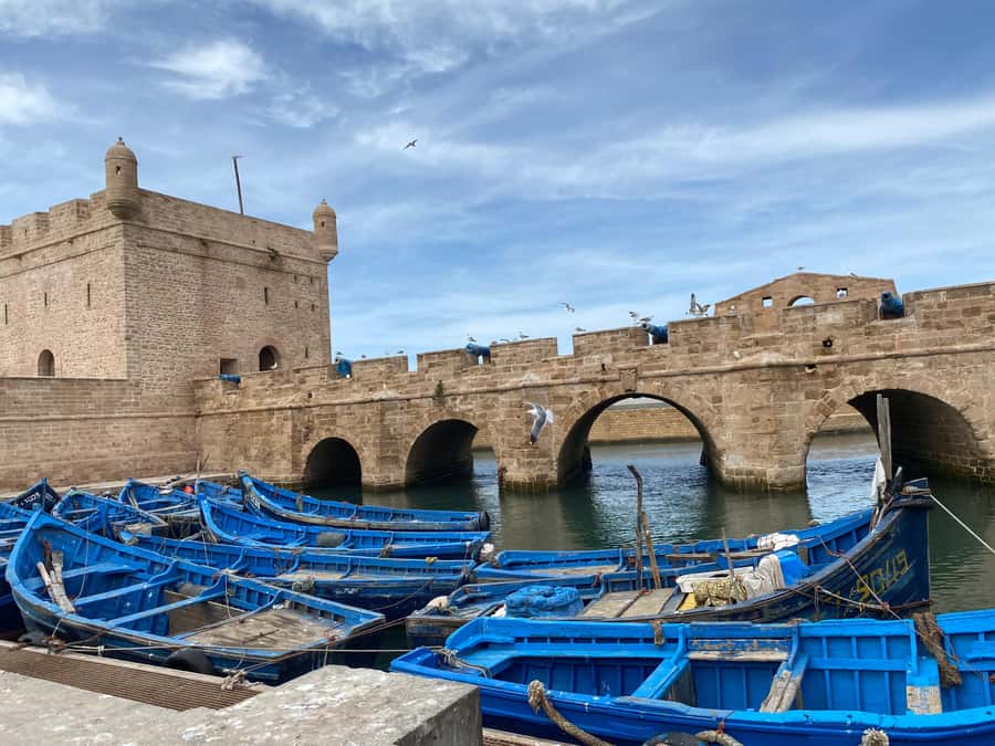 Day trip to Essaouira - The port, fortress, and bronze cannons