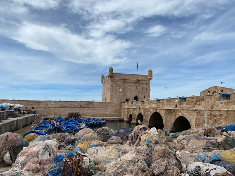 Day trip to Essaouira - What the $11 price really covers