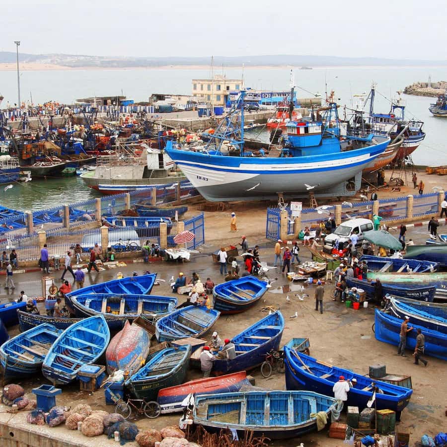 Day Trip To Essaouira From Marrakech With Guide - Key points at a glance