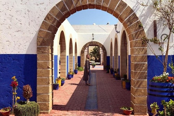Day trip to Essaouira the portuguese town from Agadir or Taghazout - Argan trees, flying goats, and a Berber village