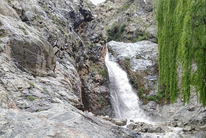 Day Trip to Ourika Valley and Atlas Mountains - Key points to know before booking