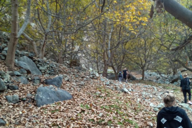 Day Trip to Ourika Valley and Atlas Mountains - What the private format really gives you