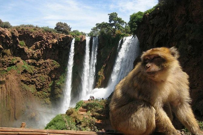 Day Trip To Ouzoud Waterfalls (Guide Hike & Boat are options) - Lunch with a view, at your own cost