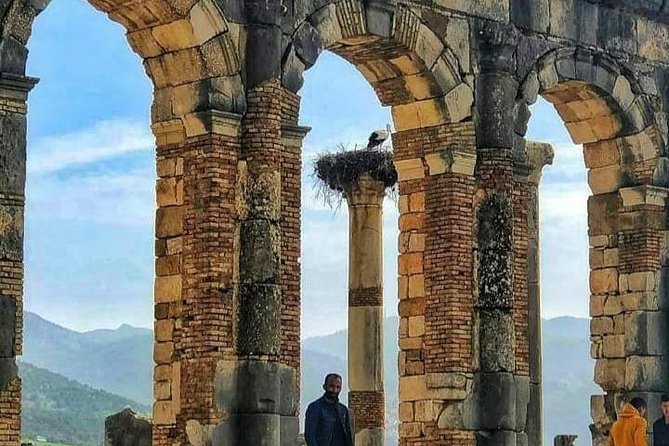 Day Trip To : Volubilis / Moulay Idriss / Mekness - Volubilis and its Roman remains