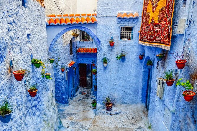Day Trip Transport from Fes to Chefchaouen (The Blue City) - Blue lanes, painted doors, and photo stops