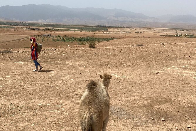 Desert Agafay and Atlas Mountains Day Tour & Camel ride From Marrakech - Lunch in the mountains: confirm what you will pay