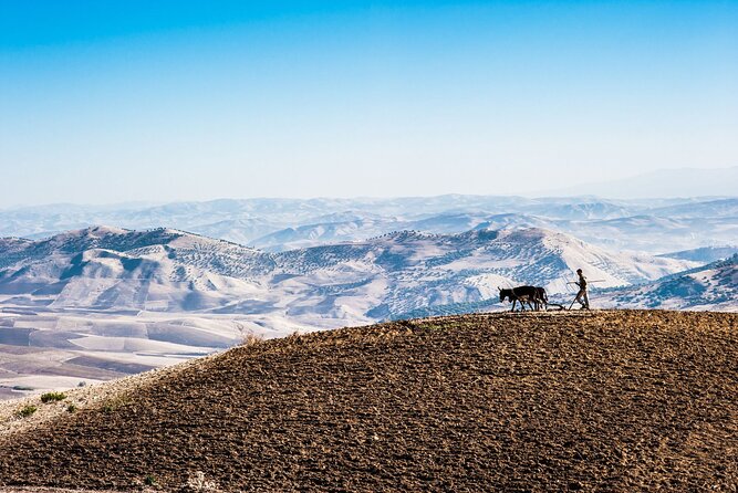 Desert Agafay & Atlas Mountains, Valleys & Waterfalls Tour from Marrakech - Tea, breakfast, and the argan oil cooperative