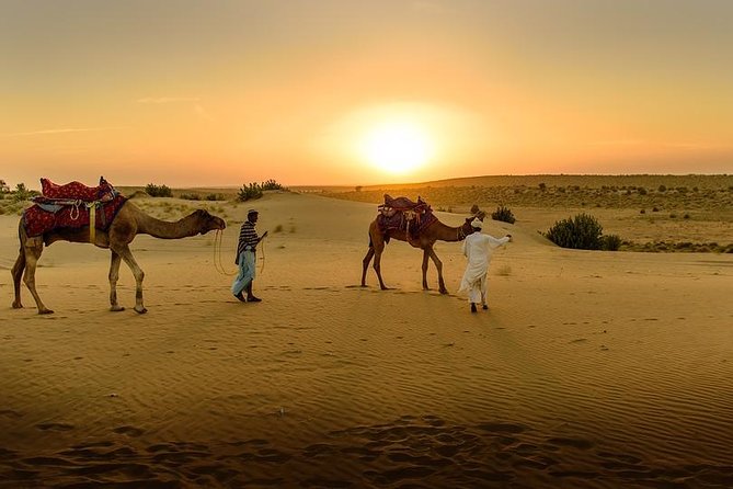 Desert Agafay & Atlas Mountains, Valleys & Waterfalls Tour from Marrakech - The Imlil waterfall hike is the real test