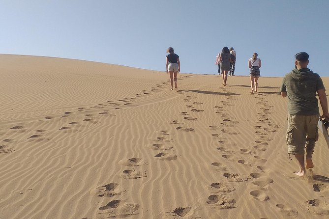 Desert and Wild Beach Day Trip with Meal - The best parts of this Agadir day trip