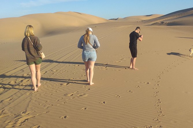 Desert and Wild Beach Day Trip with Meal - Sand dunes in a small desert