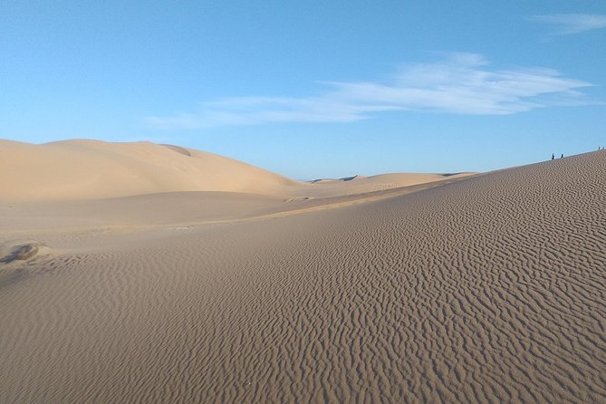 Desert and Wild Beach Day Trip with Meal - The Youssef Ben Tachfine Dam viewpoint