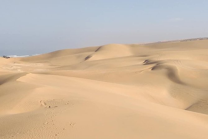 Desert and Wild Beach Day Trip with Meal - Leaving Agadir for the Anti-Atlas Mountains