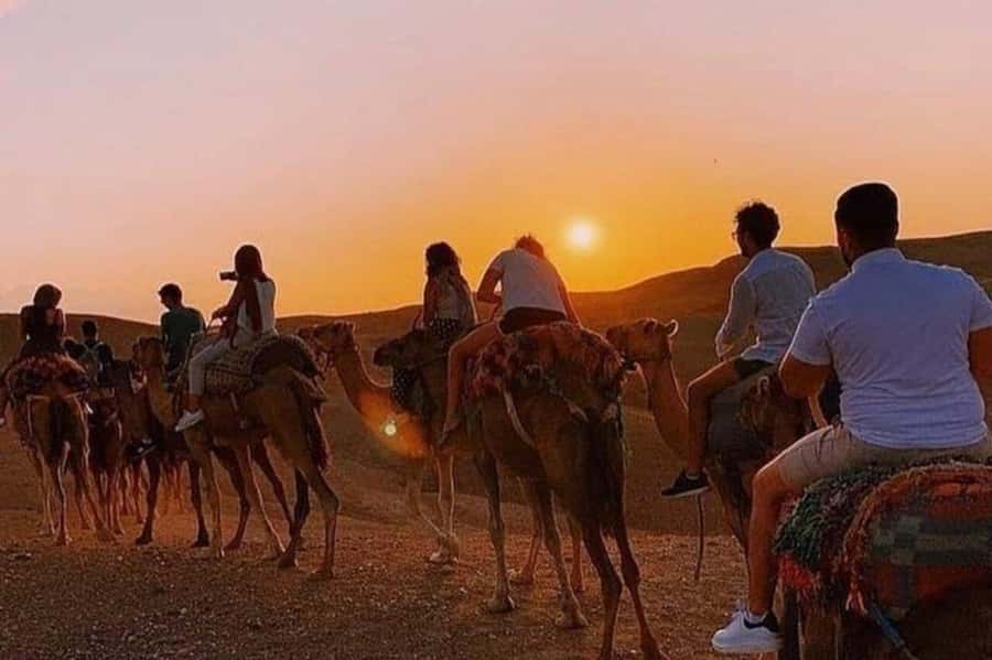 Desert & Beach Quad Adventure With Camel Ride - Key points before you book