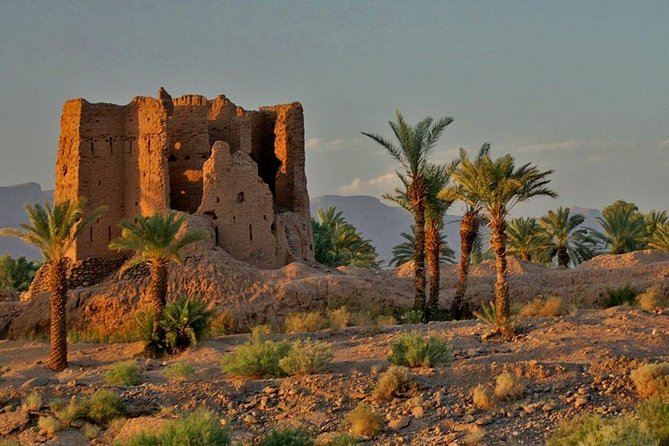 Desert Odyssey: A 2-Day Journey from Marrakech to Zagora - Five things to know before you book