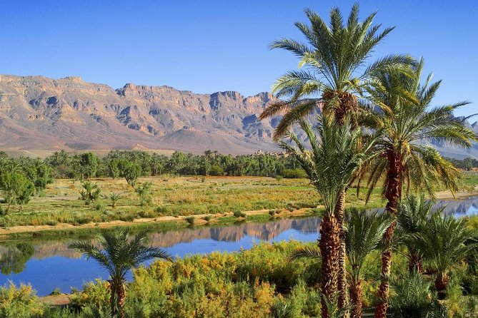 Desert Odyssey: A 2-Day Journey from Marrakech to Zagora - Day one starts with the Atlas Mountains