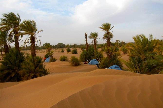 Desert Odyssey: A 2-Day Journey from Marrakech to Zagora - A 90-minute camel ride to the desert camp