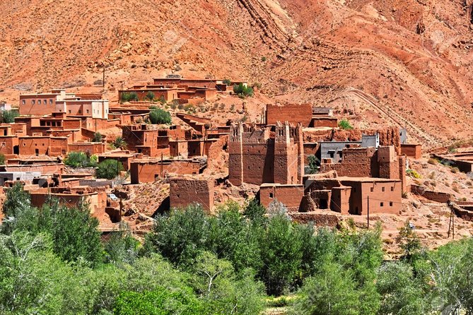 Desert Odyssey: A 2-Day Journey from Marrakech to Zagora - Sunrise and the return camel ride