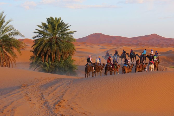 Desert Odyssey: A 2-Day Journey from Marrakech to Zagora - Taourirt Kasbah in Ouarzazate