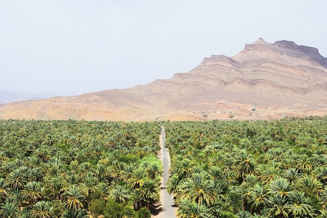 Desert Trip Merzouga Erg Chebbi 6 Days From Agadir via Marrakech - Day 6: Taroudant and the final return to Agadir