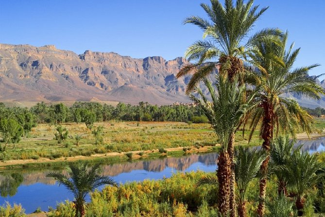 désert trip to merzouga dunes from marrakech - Todra Gorge brings a different kind of mountain drama