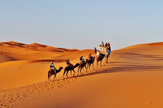 désert trip to merzouga dunes from marrakech - Crossing the Anti-Atlas to the Draa Valley