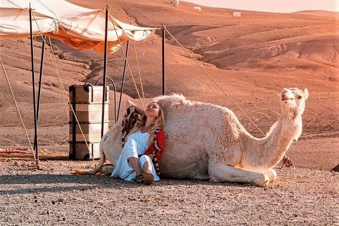Desret Agafay and Atlas Mountains & Camel ride Day Trip From Marrakech - The mountain walk and waterfall route
