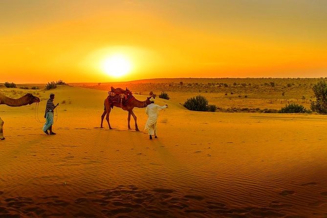 Dinner at Sunset & Camel ride in Marrakech desert Agafa - Dinner under the stars and beside the fire