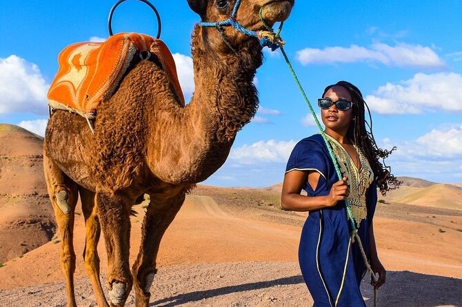 Dinner Show & camel ride with sunset views - Music, campfire atmosphere, and the evening show