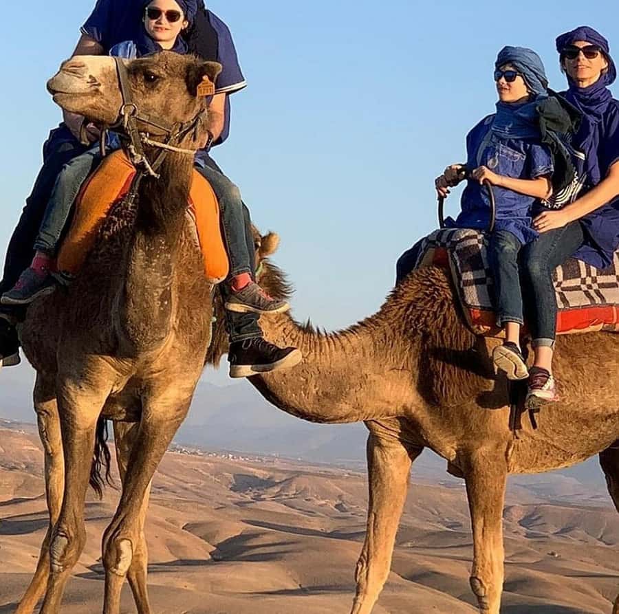 Dinner show in agafay Desert 1h quad bike & 20 min camels - Weather, clothing, and comfort