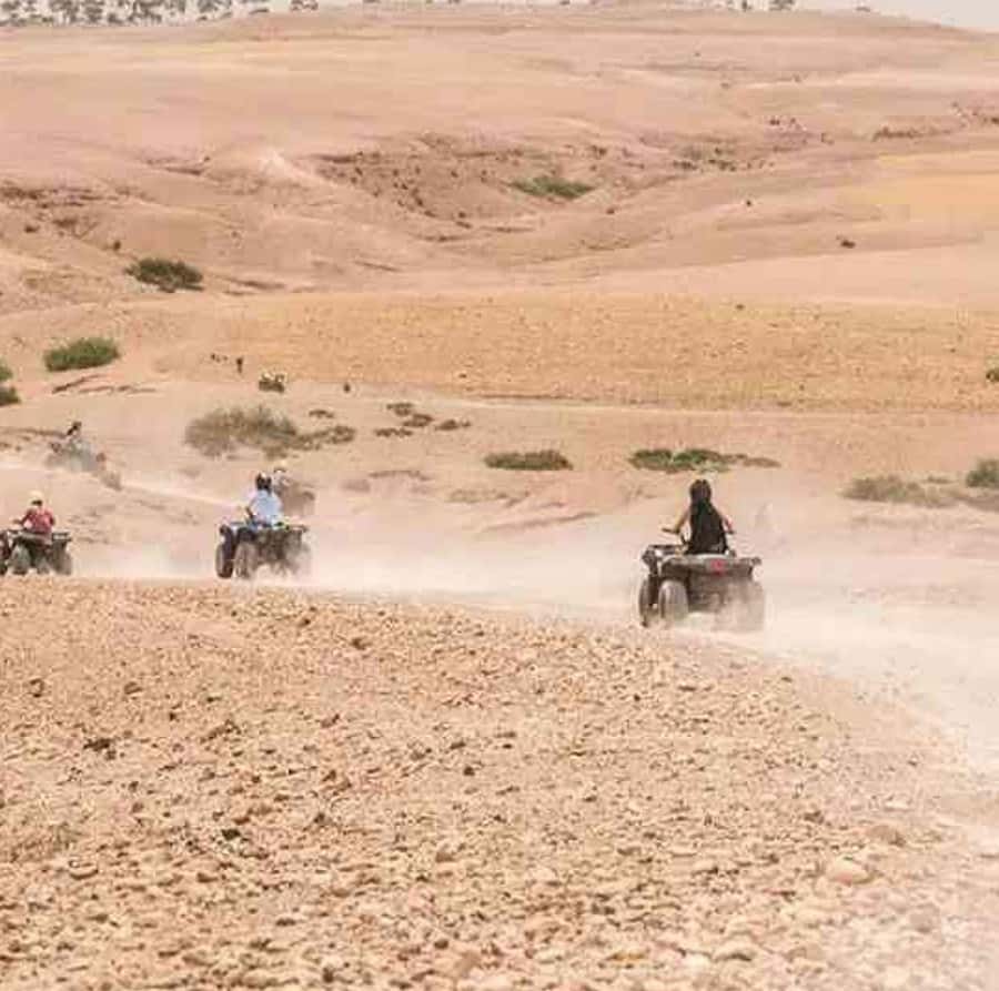 Dinner show in agafay Desert 1h quad bike & 20 min camels - Mint tea, an argan stop, and a possible pause in the day