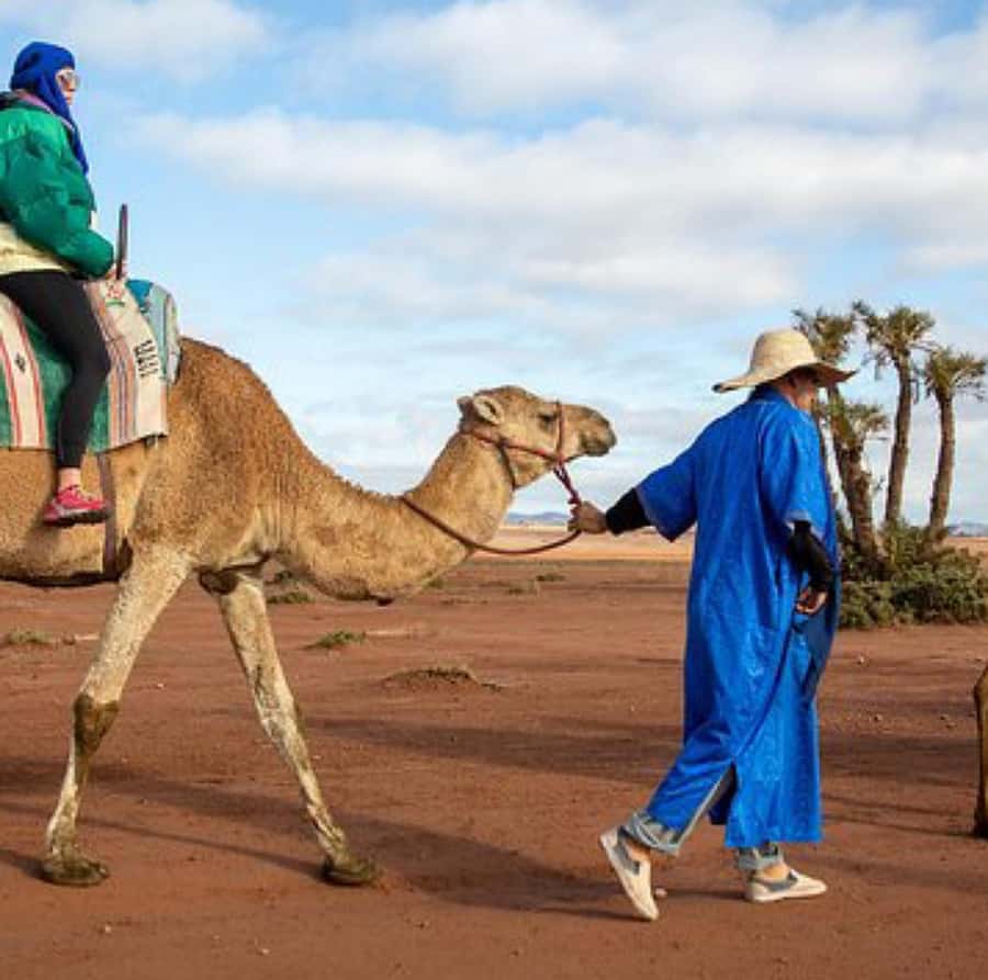 Dinner show in agafay Desert 1h quad bike & 20 min camels - Dinner under canvas after dark