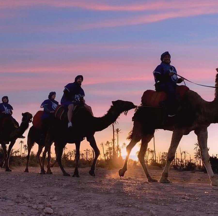 Dinner show in agafay Desert 1h quad bike & 20 min camels - The 70-minute quad ride across open tracks