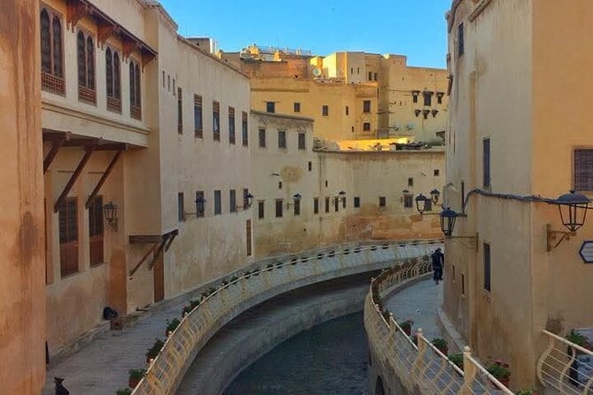 Discover Fes with the Best -Authentic Tours Unforgettable Stories - Chouara Tannery: Fez at its most memorable