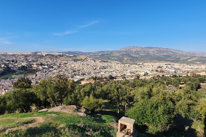 Discover Fez with a local - What the Guide Adds
