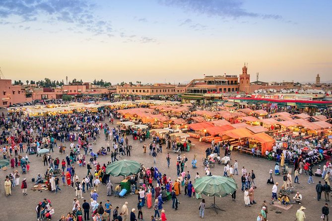 Discover Marrakech: Vibrant Explorer Tour - Is $49 a Good Deal?