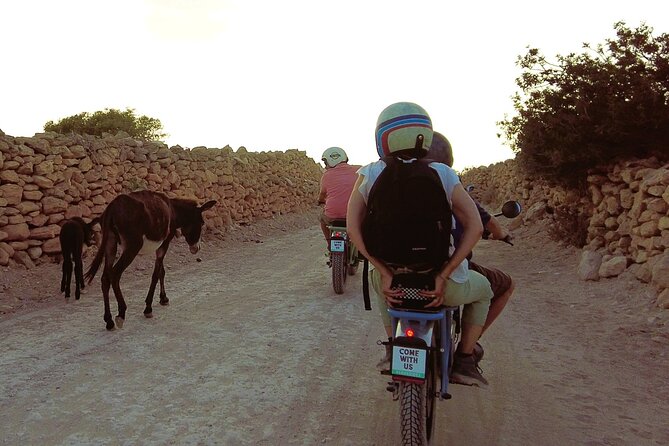 Discovery Tour around Essaouira by Electric Motorcycle - Diabat, Music Legends, and the Norfolk Pines
