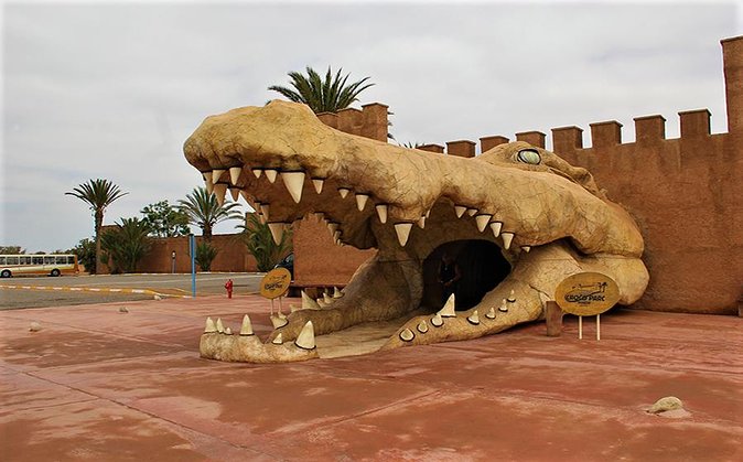 Effortless Agadir Crocoparc Ticket and Transfer Service - Why Crocoparc makes sense from Agadir