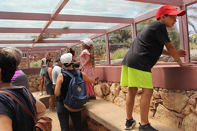 Effortless Agadir Crocoparc Ticket and Transfer Service - More than crocodiles: anacondas, tortoises, and monkeys