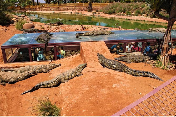 Effortless Agadir Crocoparc Ticket and Transfer Service - A botanical garden with 3,000 plant varieties
