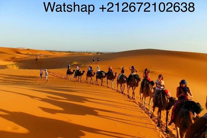 Enjoy camp 1 night .Camel.sunset sunrise drums Quad Sunboard - Sandboarding on the high dunes