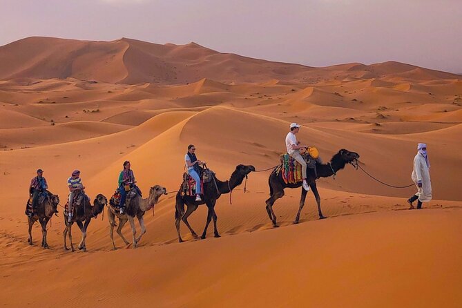 Erg Chebbi Desert Overnight in Tent with Camel Ride & Sandboard - Key points to know before you book