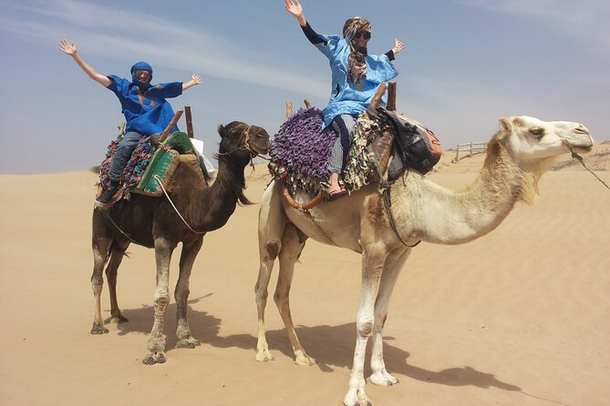 Essaouira 1 hour discovery ride on the back of a camel - Why this camel ride works well in Essaouira