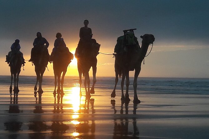 Essaouira 1 hour discovery ride on the back of a camel - Starting at Bab Sbaa and getting beyond town