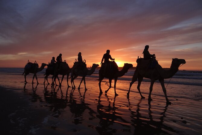 Essaouira 1 hour discovery ride on the back of a camel - Diabat Village and the story of Dar Sultan