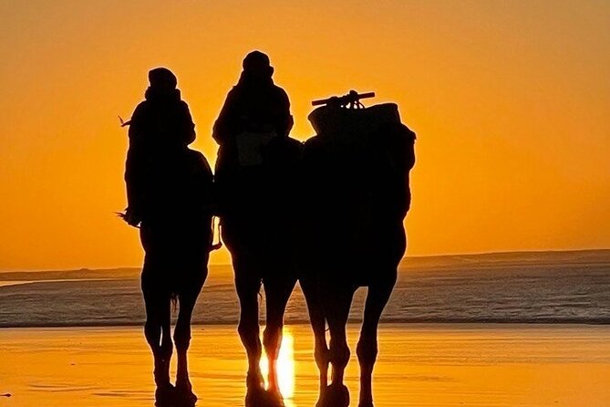 Essaouira 1 hour discovery ride on the back of a camel - What Mostafa adds to the hour