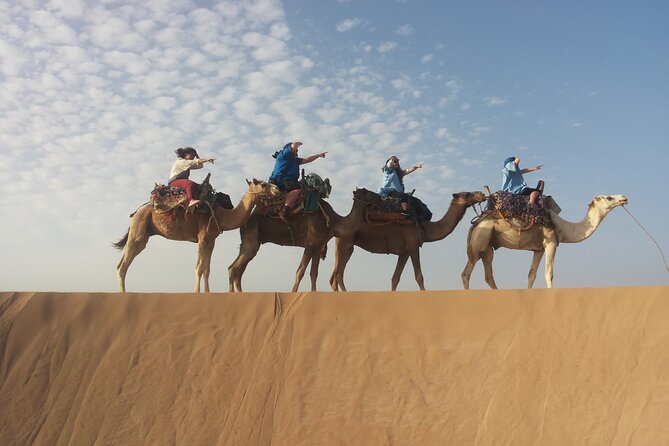 Essaouira 1 hour discovery ride on the back of a camel - Is $23.23 good value for one hour?