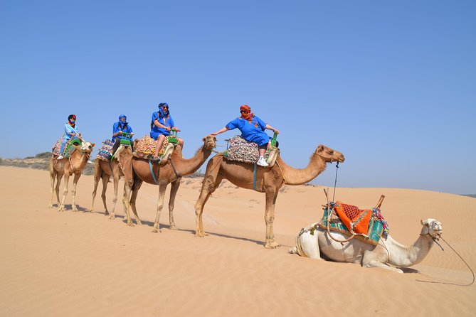 Essaouira 2-Hour Camel Adventure Ride - Why this Essaouira camel ride works